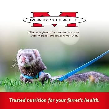 マーシャルフェレットフード　Ferret Diet 6 lb 完全栄養食 marshallferrets.com: Premium Ferret Diet 6 lb.