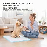 Ver la foto 7
