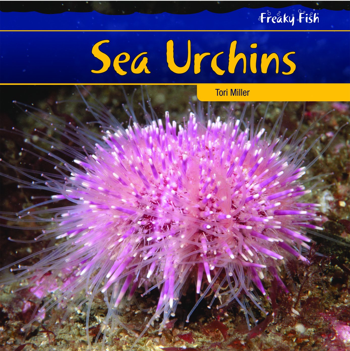 Sea Urchins (Freaky Fish)
