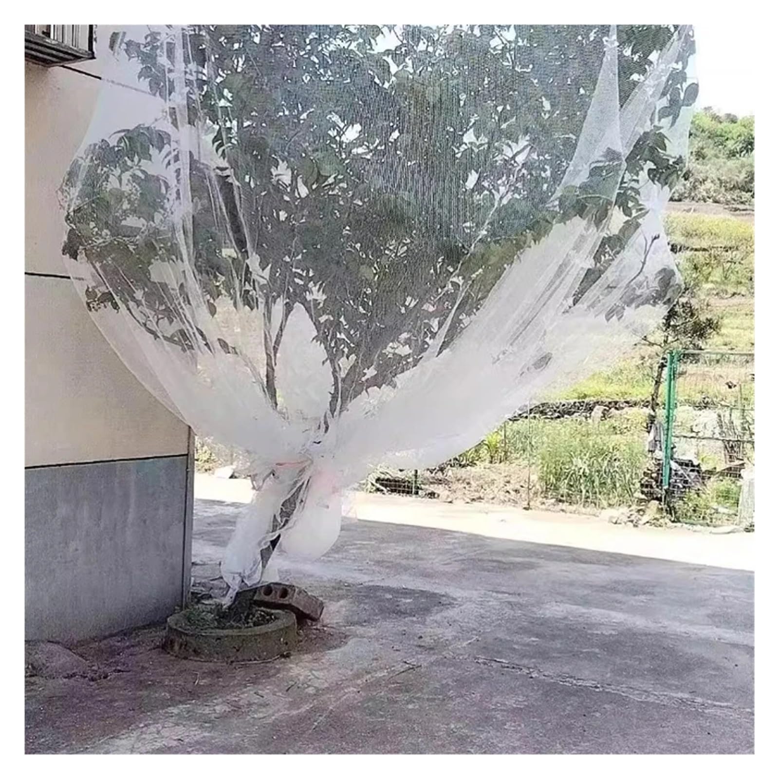 Red de nailon rojo para pájaros 0,5: ideal para proteger vides, árboles frutales y jardines (4 x 10 m) - Malla antipájaros duradera para un control eficaz de la vida silvestre