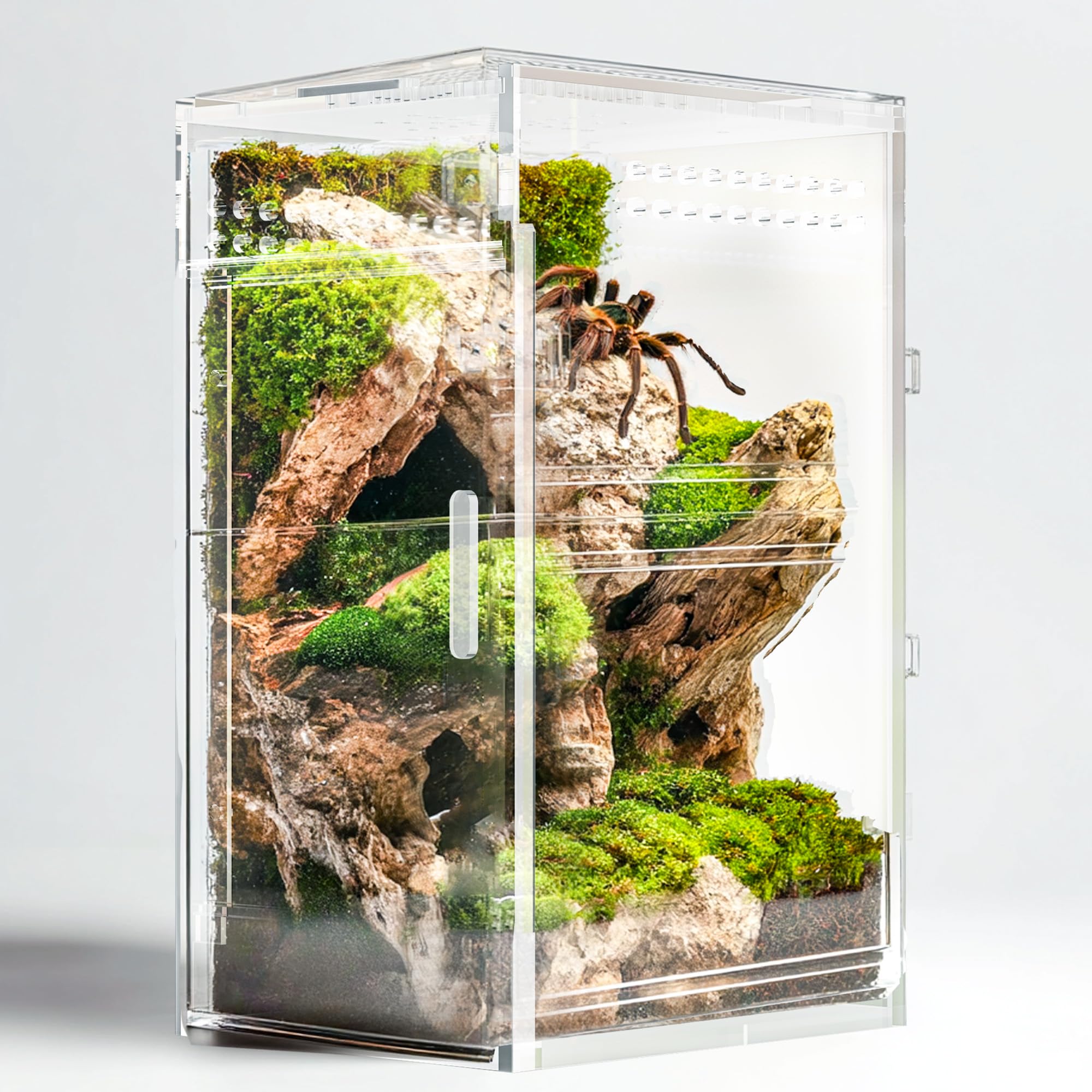 CEOTIS Jumping Spider-Enclosure 3x3x6 In Mini Tarantula-Enclosure, Small Jumping Spider Accessories Terrarium, Acrylic Terrarium for Tarantula Tortoise Enclosure, Praying Mantis, Frog, and Small Repti