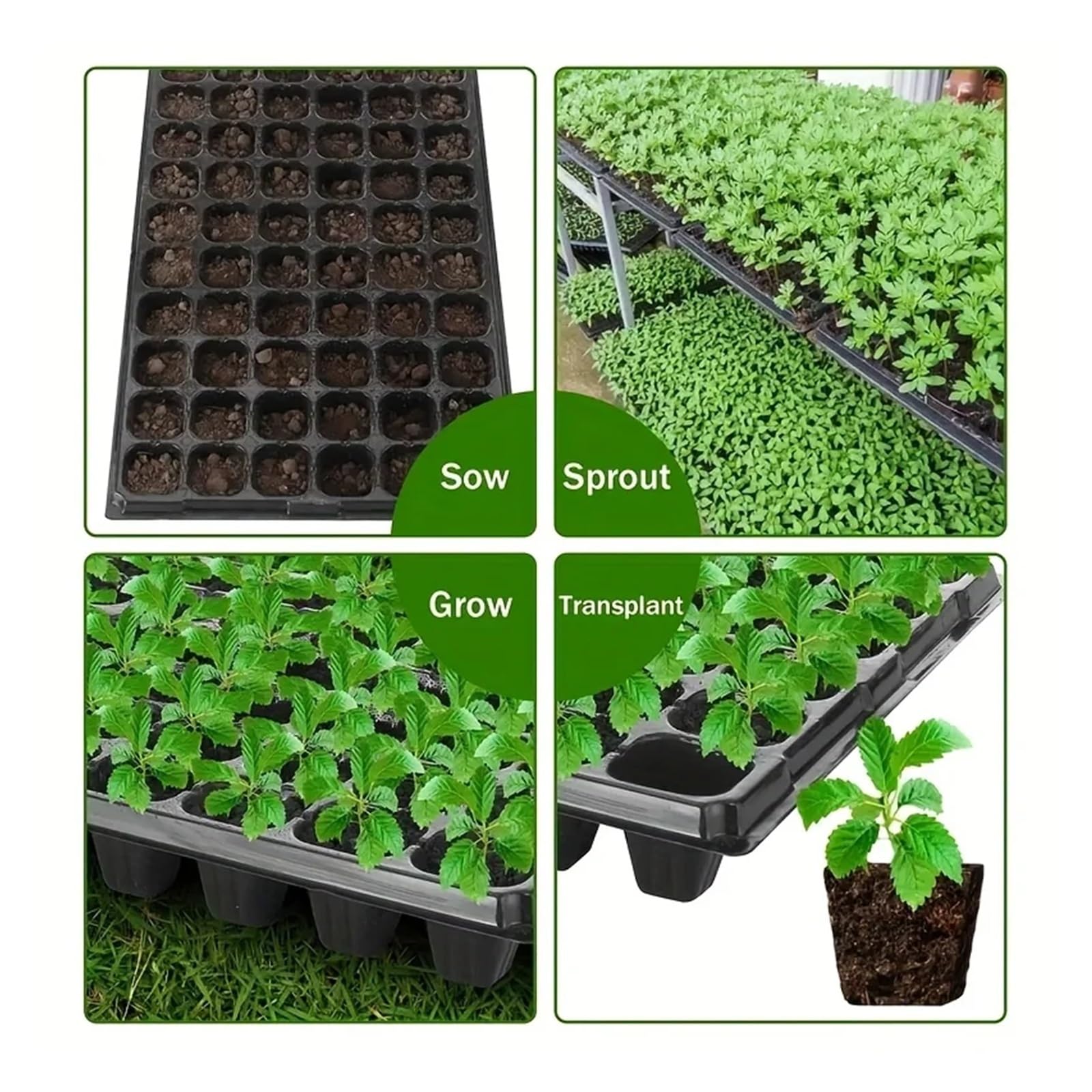 Plaque Semis Quatre Tailles différentes Plateaux de pépinière Plateaux de Croissance de Germination de Serre Cour pelouse Horticulture Plantation pépinière agricole(21 holesX 10pcs)