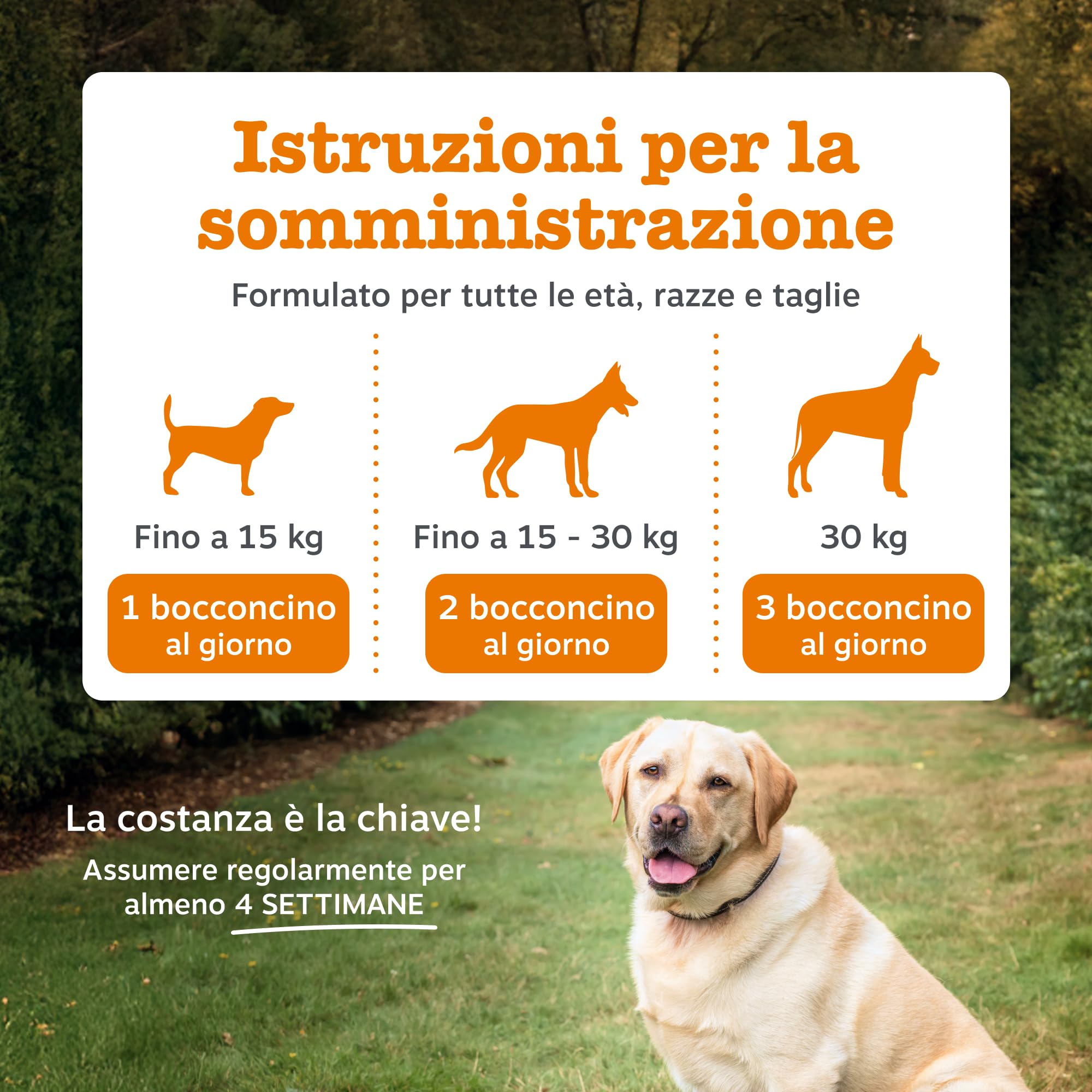 Zesty Paws 9-in-1 Senior Multivitamin – Supports Joints, Vision, Heart and Cognitive Function – Immune System and Urinary Tract Support – With Biotin and Vitamins A, B 3, B5, B6, B9, C – 90 Bocconcini