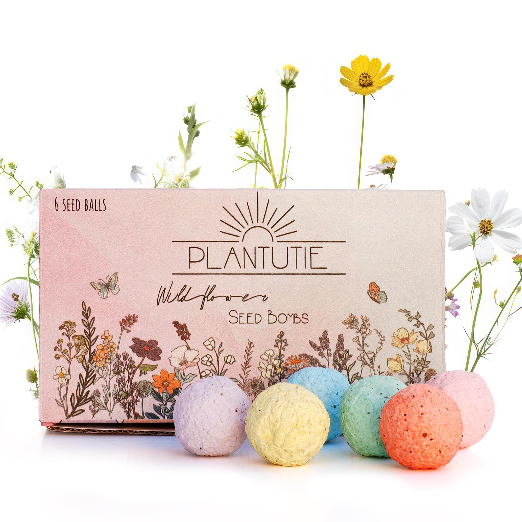 Amazon.com : Plantutie Wildflower Seed Bomb Gift Box – 6 Colorful
