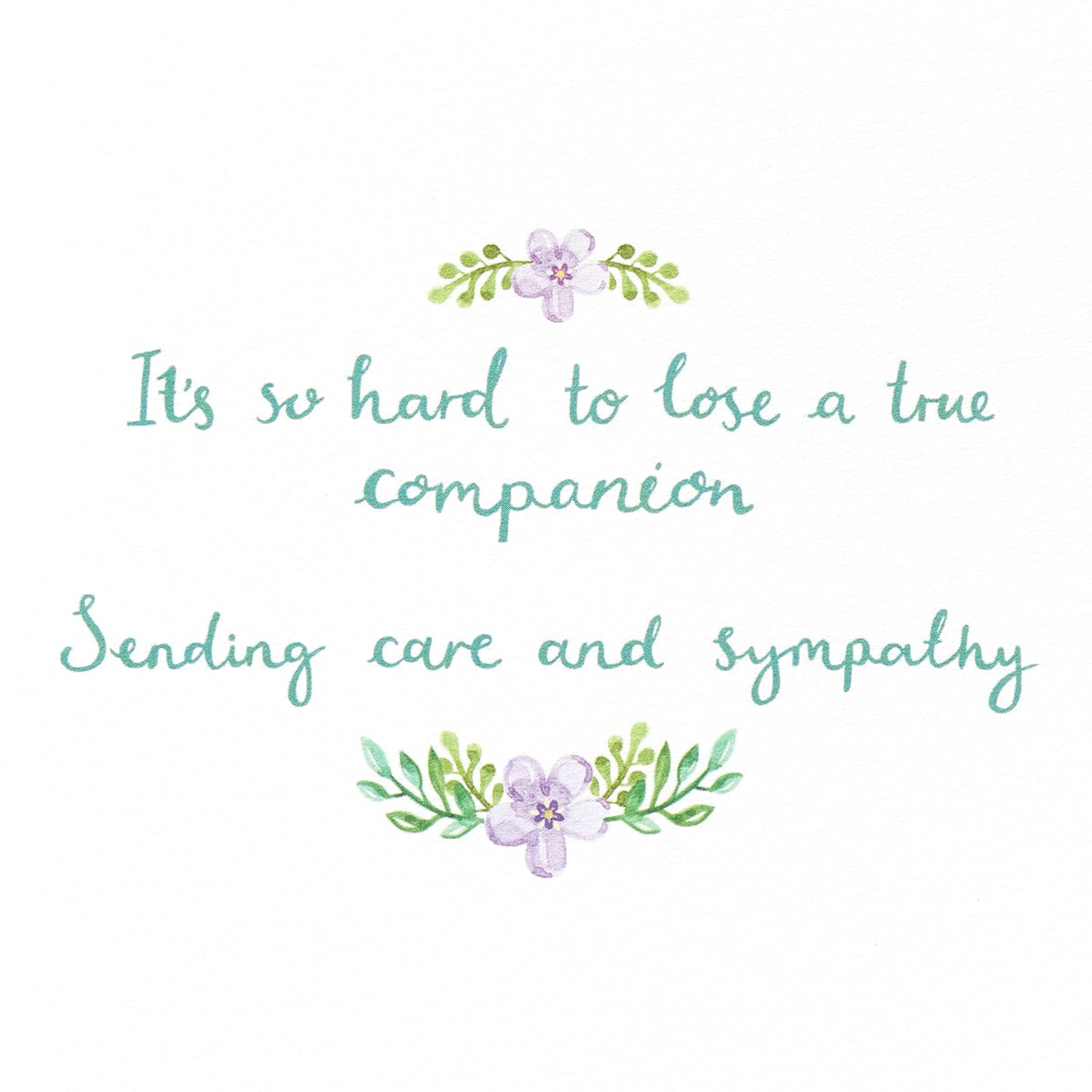 Papyrus Pet Sympathy Card (A True Companion), 1 EA - Image 3