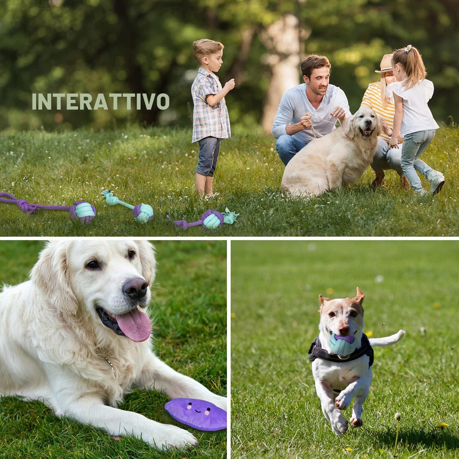 Set di Giochi per Cani - 20 Pezzi Resistenti in Corda per Cuccioli e Cani Grandi