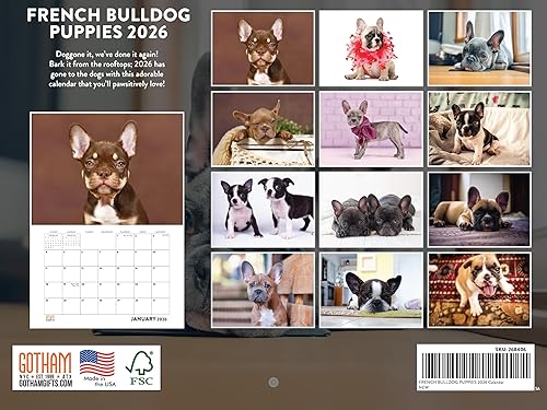 Vista 356 de Calendario Goldendoodle 2026 Golden Doodle mensual de pared calendario de 12 meses Fabricado en Estados Unidos