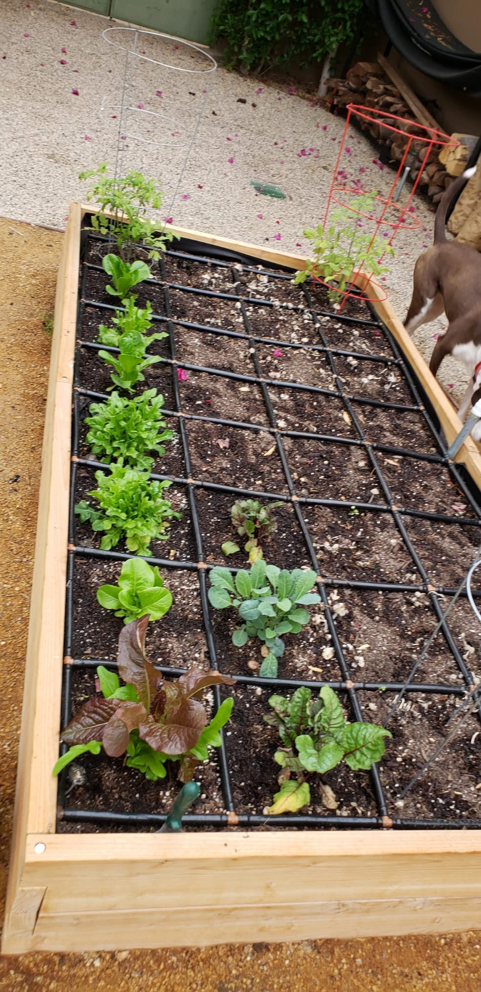 6/mo Finance MultiGarden Grid Connection Manifold Connect Two