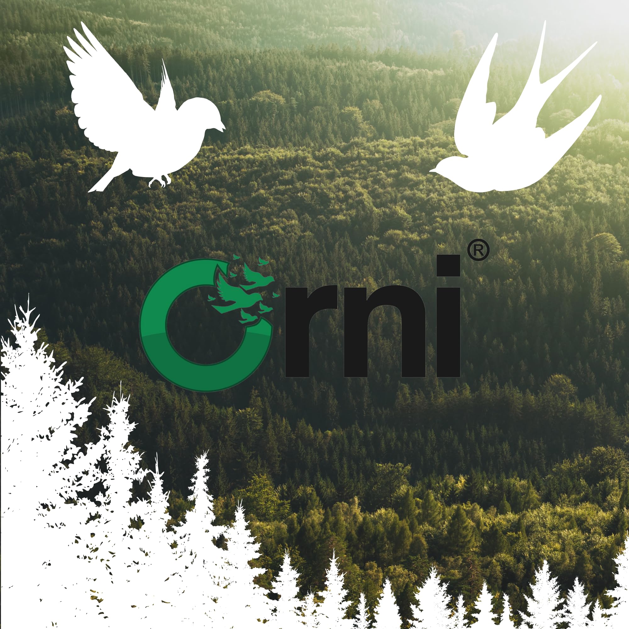 Orni Riesen Meisenknödel mit Insekten 500g | 12 Stück | Leckerer Insektenknödel mit Netz zum Aufhängen | beliebt bei Amseln Meisen und Co | Ganzjahresknödel für Winter, Frühjahr und Sommer