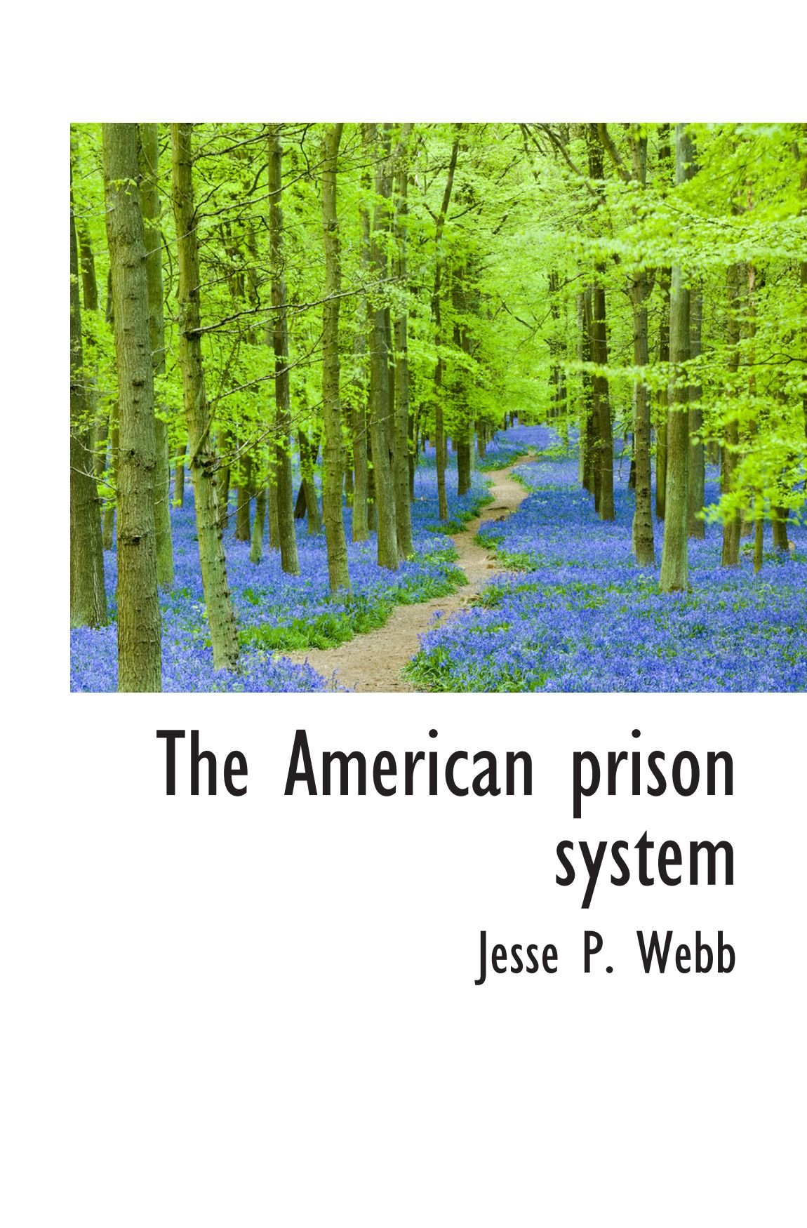 The American prison system