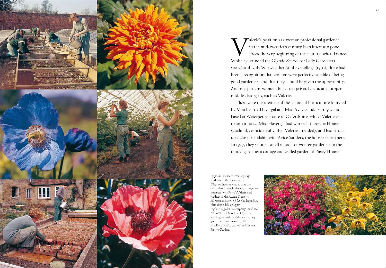 Garden People: Valerie Finnis and the Golden Age of Gardening (Paperback) /anglais