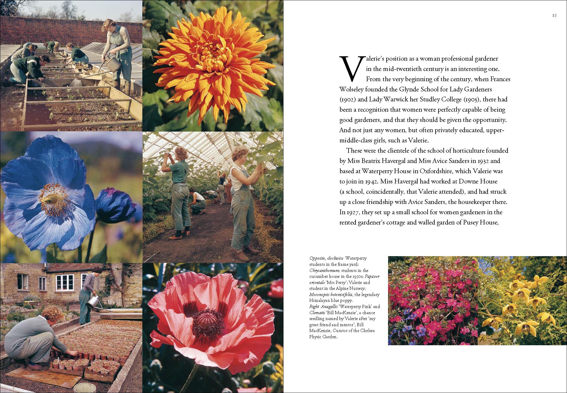 Garden People: Valerie Finnis and the Golden Age of Gardening