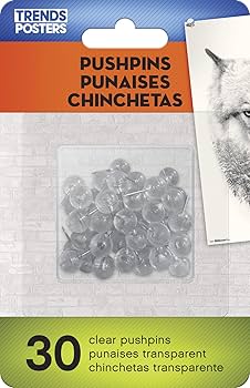 Amazon.co.jp: ポケモン - アローラ地方 ウォールポスター