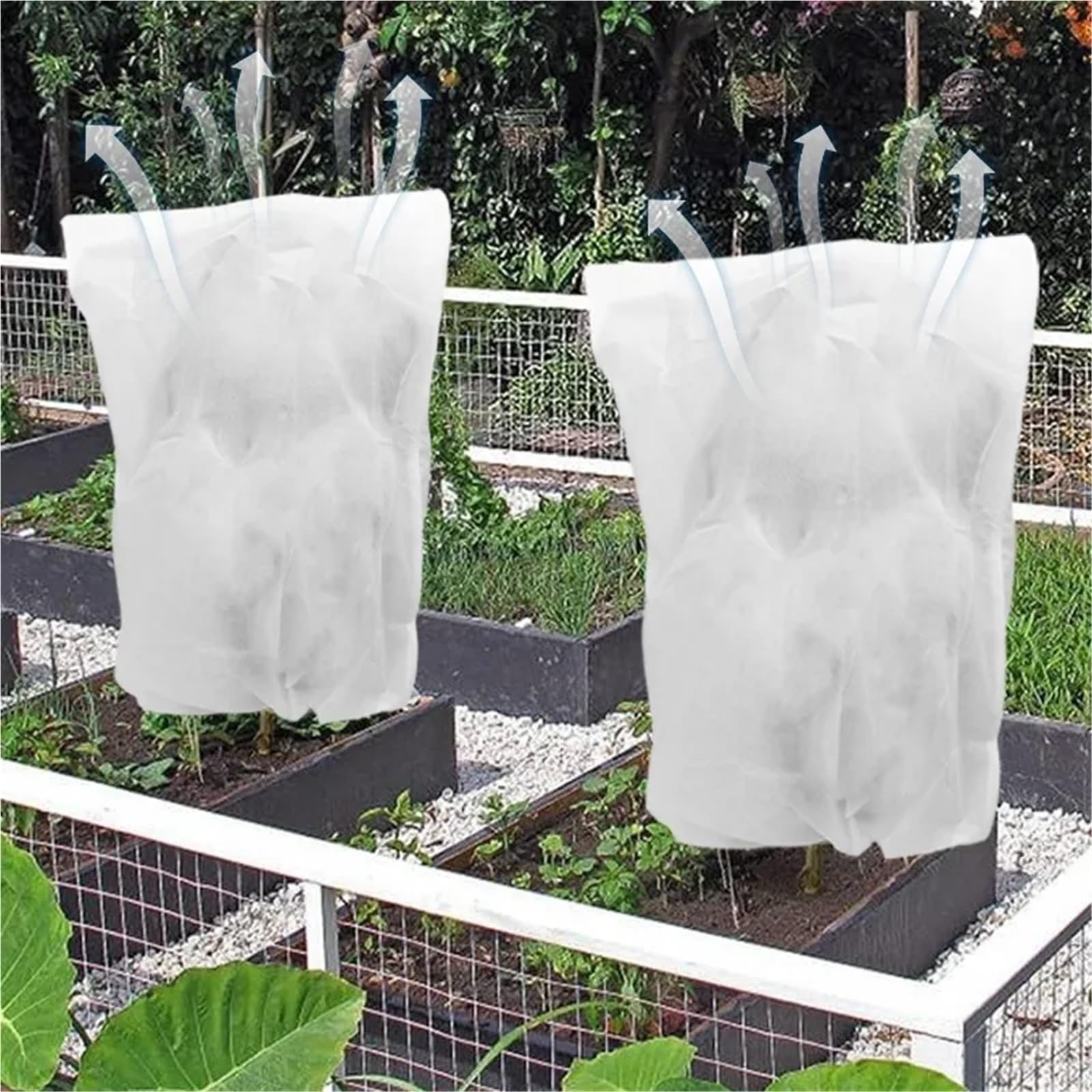 Protectores de Invierno para Plantas 3 Fundas Protectoras for Plantas, Árboles y Arbustos, Resistentes al Invierno a Las Heladas. Ideales for Jardín Patio. Protegen del Frío(80x120cm)