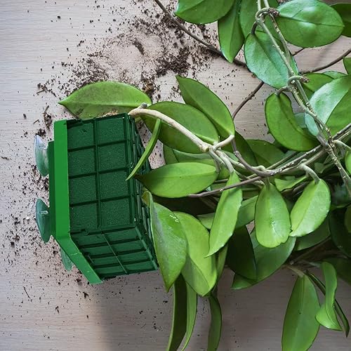 Miniatura 3 de Jaula de espuma floral para flores, soporte de jaula de espuma cuadrada para flores frescas, cuenco de mesa, centro de mesa, arreglo floral 11 x 11