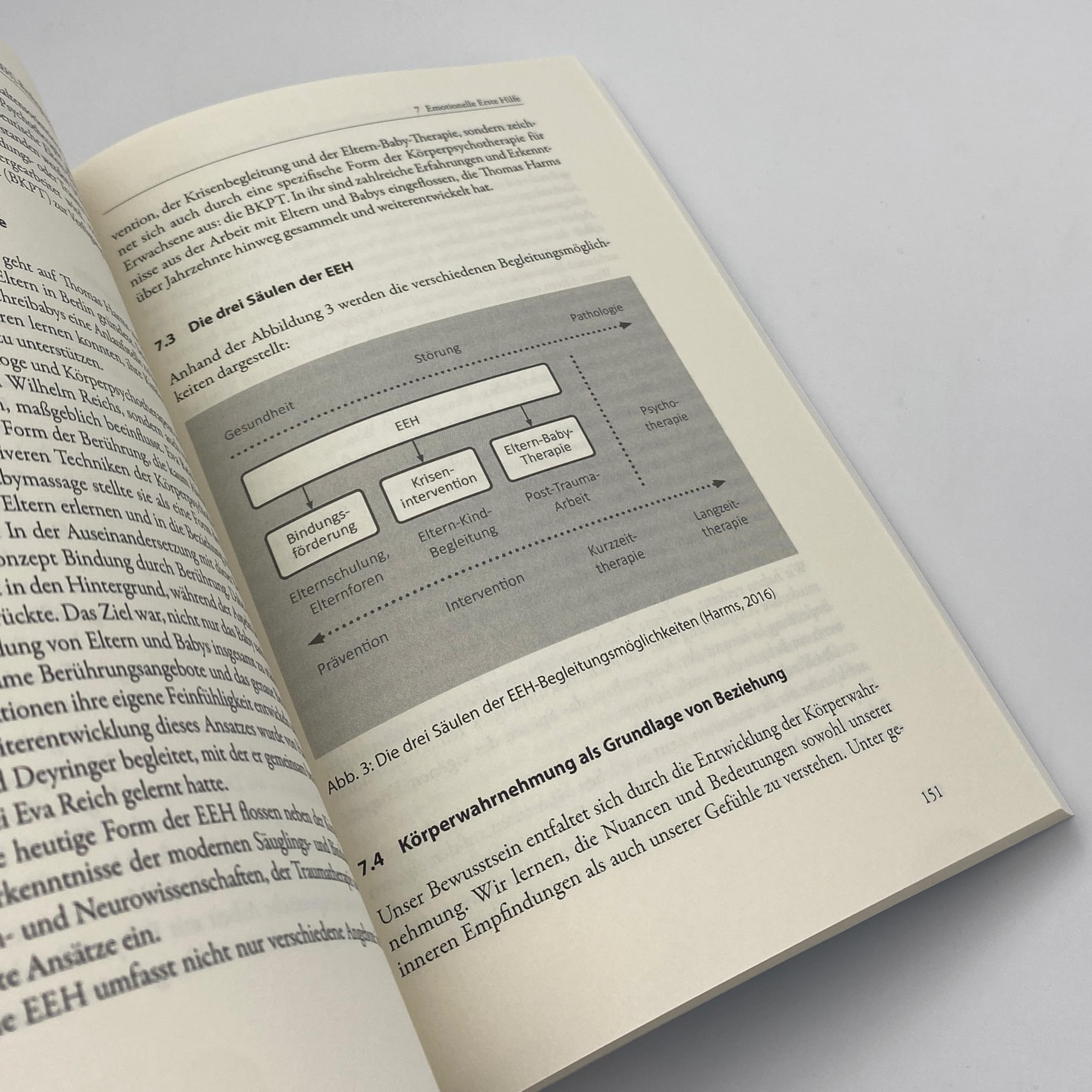 Postpartale Depression und andere Krisen vor und nach der Geburt: Familien mit Emotioneller Erster Hilfe sicher begleiten (Neue Wege für Eltern und Kind)