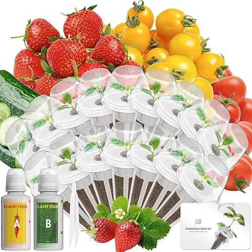 Miniatura 39 de Lyko Gourmet - Kit de semillas de hierbas para AeroGarden, iDoo, Ahopegarden, GARDENCUBE, 7 cápsulas con albahaca, perejil, menta, cilantro, kits