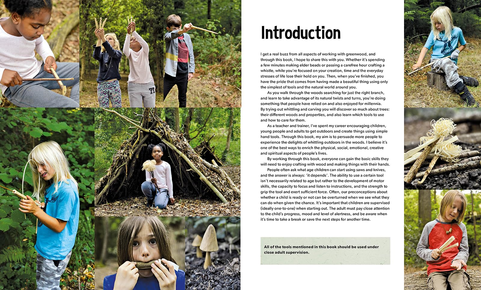 Forest Craft: A Child's Guide to Whittling in the Woodland
