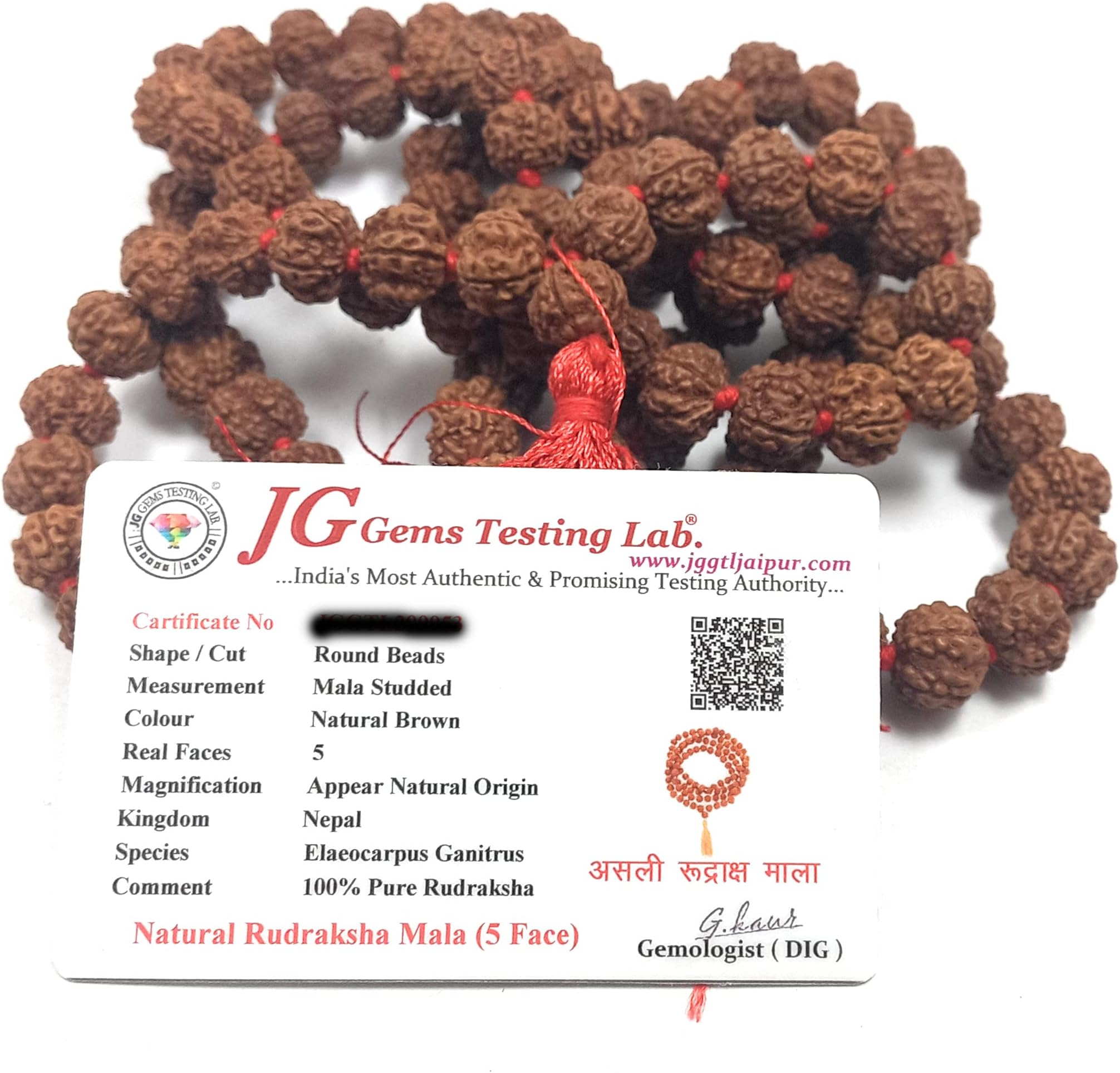 rocksmins Pathri Semi Chikna Rudraksha Mala (108+1 Guaranteed) 12 mm Approx Beads Lab Certified Natural Original 5 Panch Mukhi for Jaap Pooja Astrology Wearing Meditation Protection For Unisex Adult