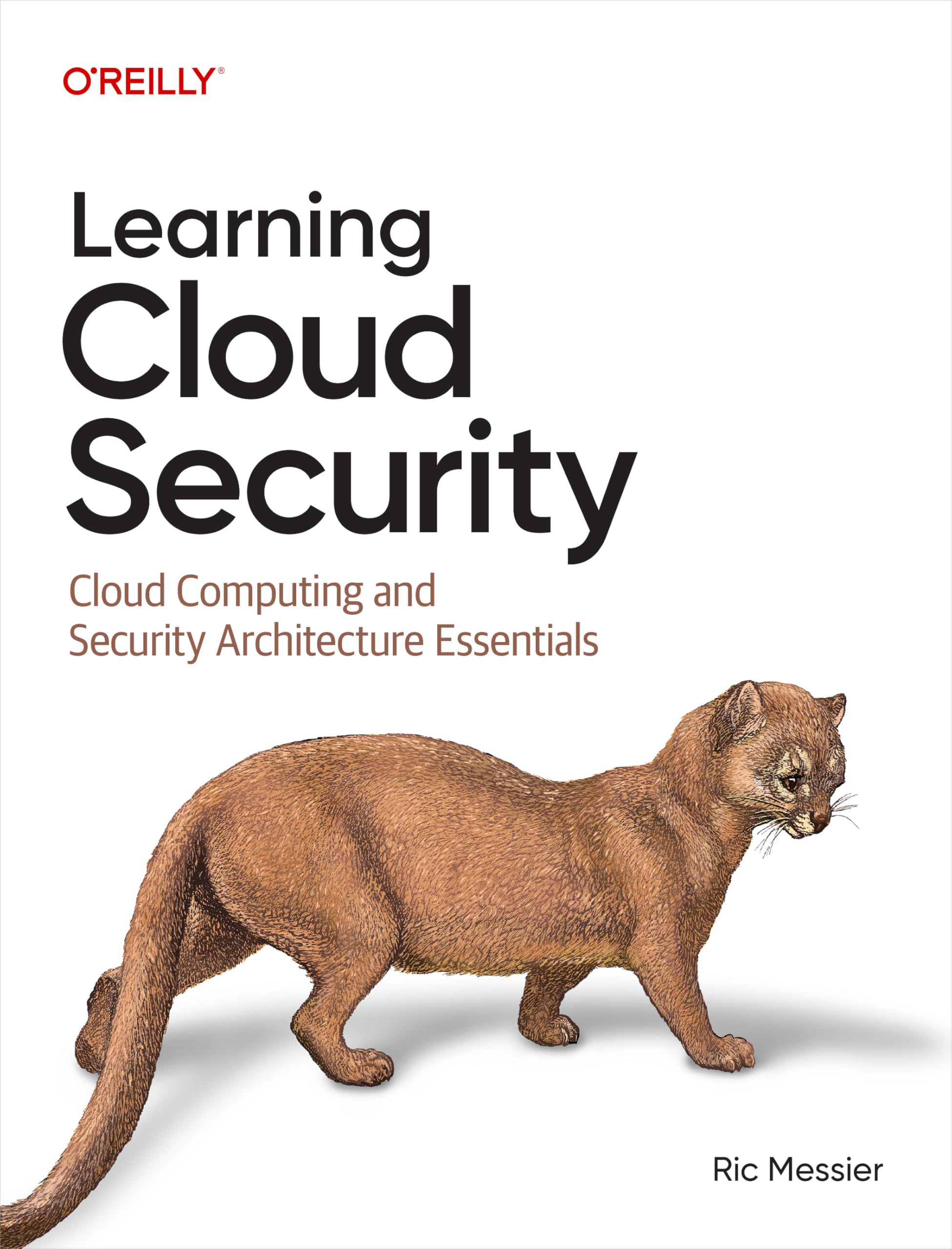 Learning Cloud Security by Ric Messier - 9781098179427