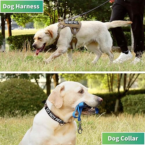 Miniatura 3 de PawistaPal Paquete de 6 parches para perros de servicio, parche de entrenamiento para perros y no mascotas con gancho trasero, parche de velcro