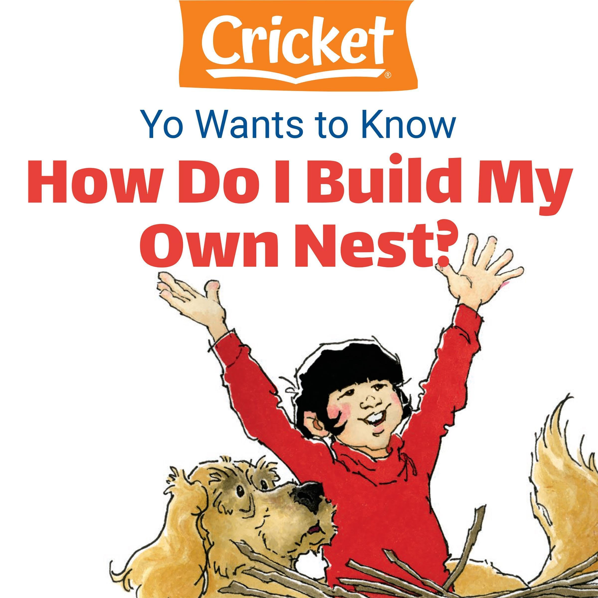 Yo Wants to Know: How Do I Build My Own Nest?