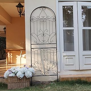 10 Garden Wall Trellis Ideas for Vertical Flowers and Vines 19 Metal Trellis 82.7