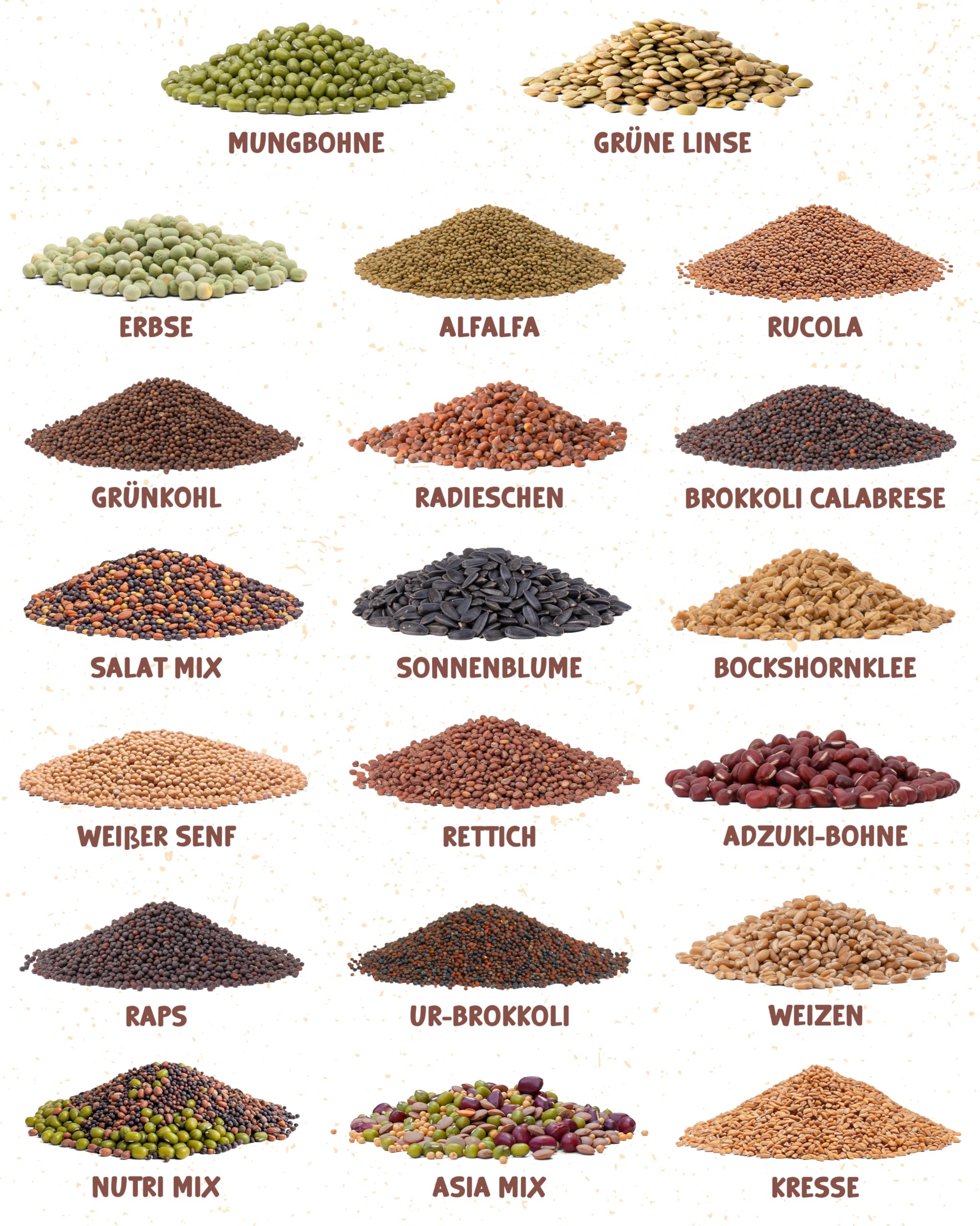 ZenGreens® - Bio Sprossensamen im 20er Set - Keimsprossensamen - leichte Zucht im Sprossenglas oder Anzuchtschale - Großpaket - 20 verschiedene Sorten - Microgreens Samen Mix - 20er Set