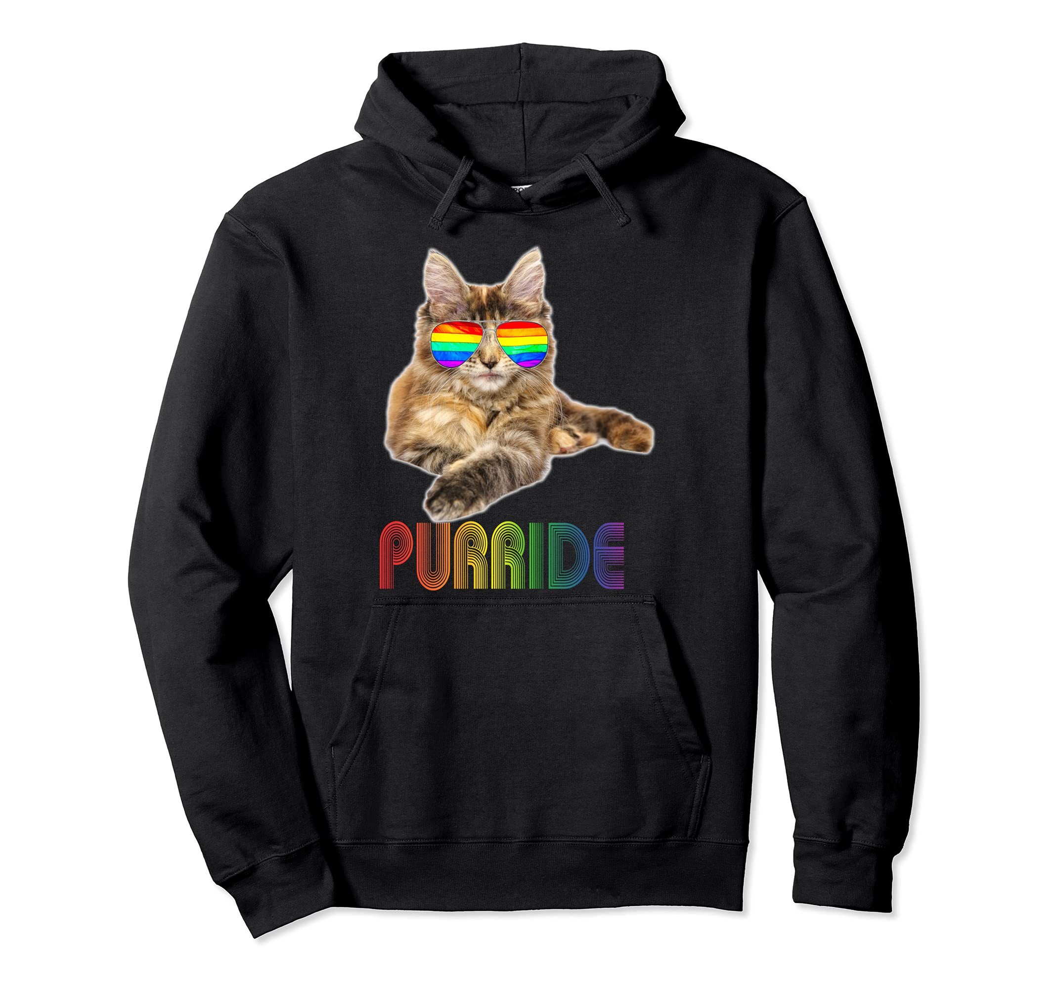 Purride Cat Gay Lesbian Pride Clothing LGBT Funny Pullover Hoodie, Black