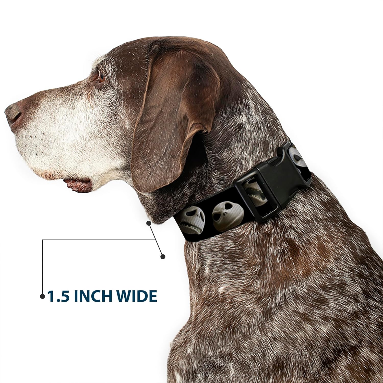 Buckle-Down Plastic Clip Collar - Jack 10-Expressions Staggered Black - 1.5" Wide - Fits 13-18" Neck - Small