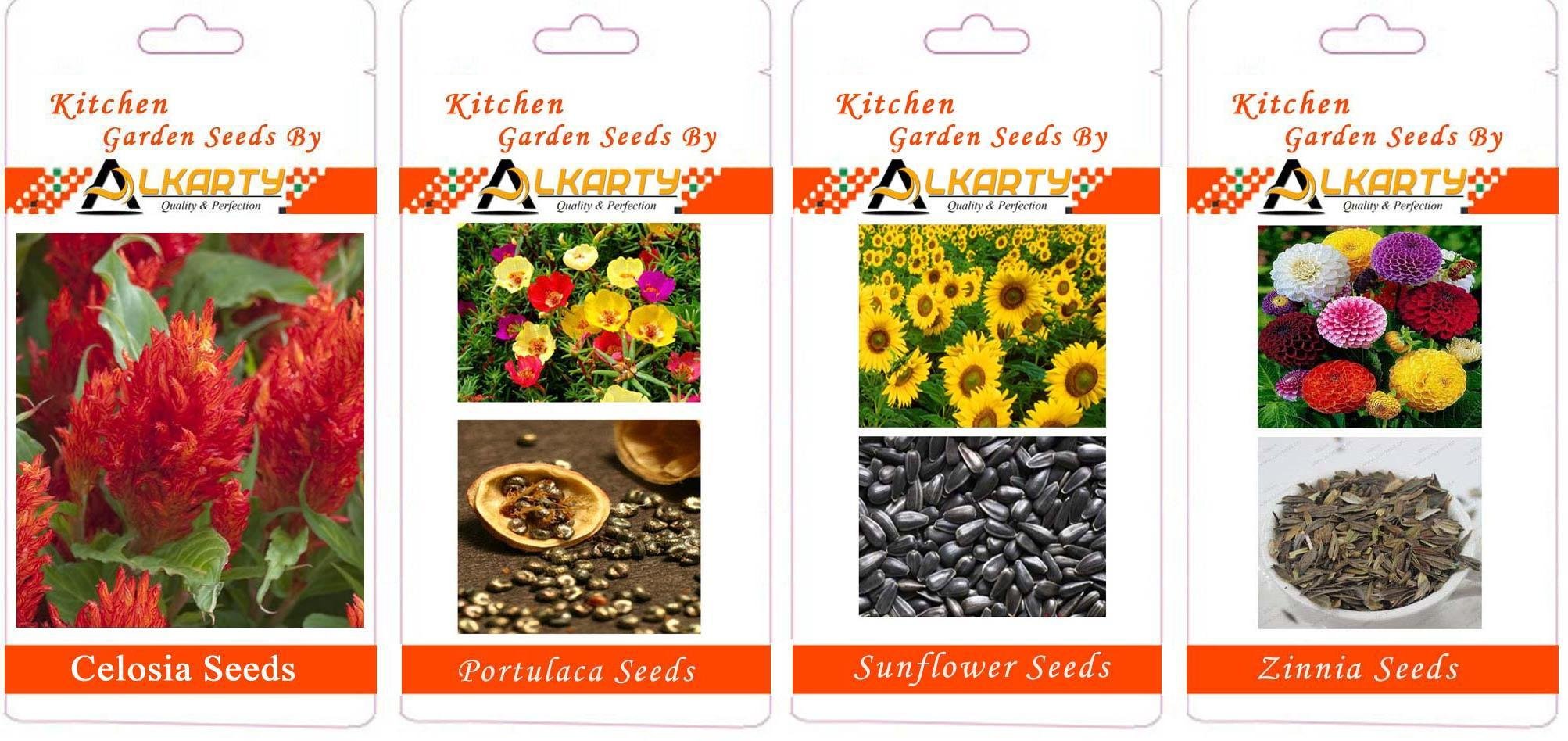 Celosia, Portulaca, Sunflower, Zinnia Summer Flower Seeds Pack of 20 Each-image-43