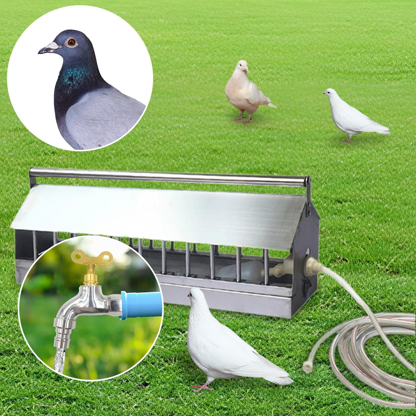 Automático para Aves de Corral, Automático para Pollos, Pavos, Codornices, Etc, 60cm