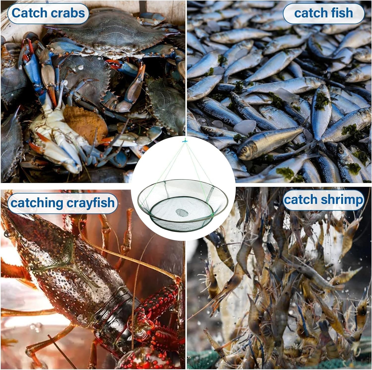 Bilancia Armonic Tonda Piccola Rete 4mm Pesca Granchi Blu Gamberi Pesci Bilancina Mare Lago Fiume Pescasubito