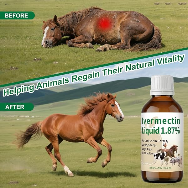 Zhizaiql Ivermectin for Horses(Liquid) – Apple Flavor, Safe for Horses, Poultry & Other Livestock of All Ages,3.4 fl oz - 5
