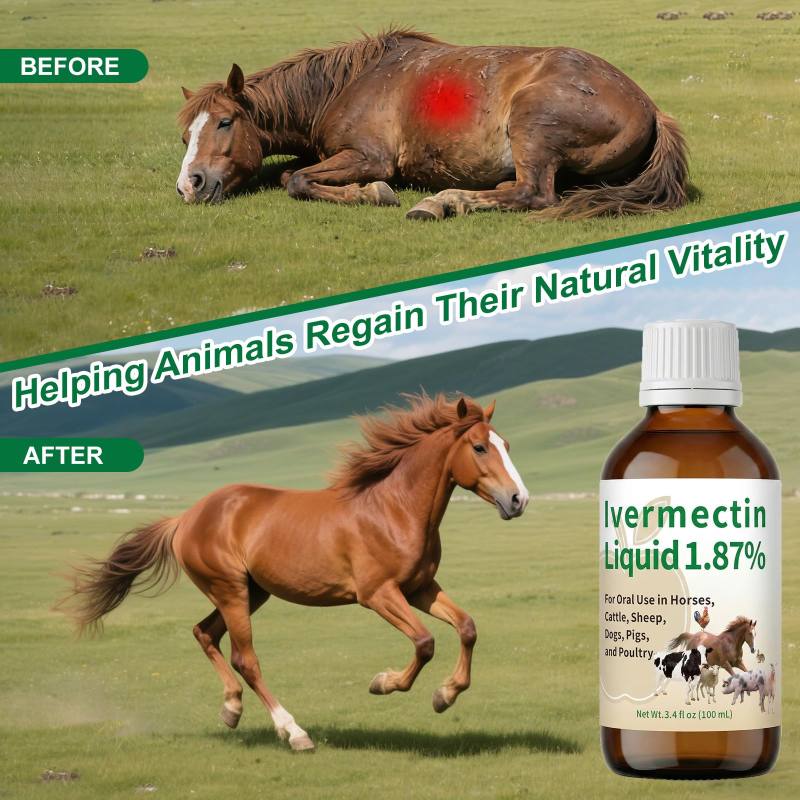 Zhizaiql Ivermectin for Horses(Liquid) – Apple Flavor, Safe for Horses, Poultry & Other Livestock of All Ages,3.4 fl oz - 5