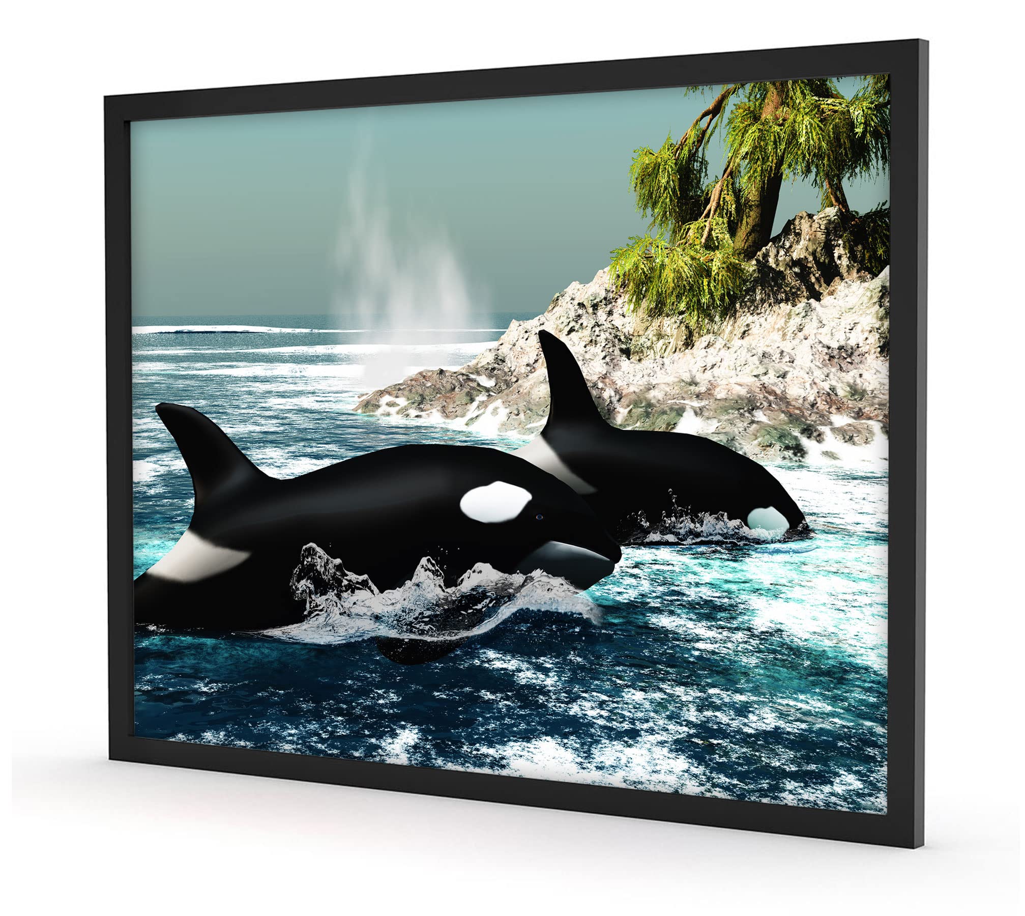Orcas vor Isola, Poster in cornice / Formato: 80 x 60 cm / Stampa artistica incorniciata
