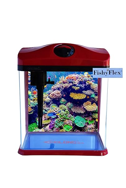 Fishyflex Home Decoration Aquarium Fish Tank Color May Vary 11 Litre 23x16 5x29 Cm In Pet Supplies Fishyflex Home Decoration Aquarium Fish Tank Color May Vary 11 Litre 23x16 5x29 Cm In Pet Supplies