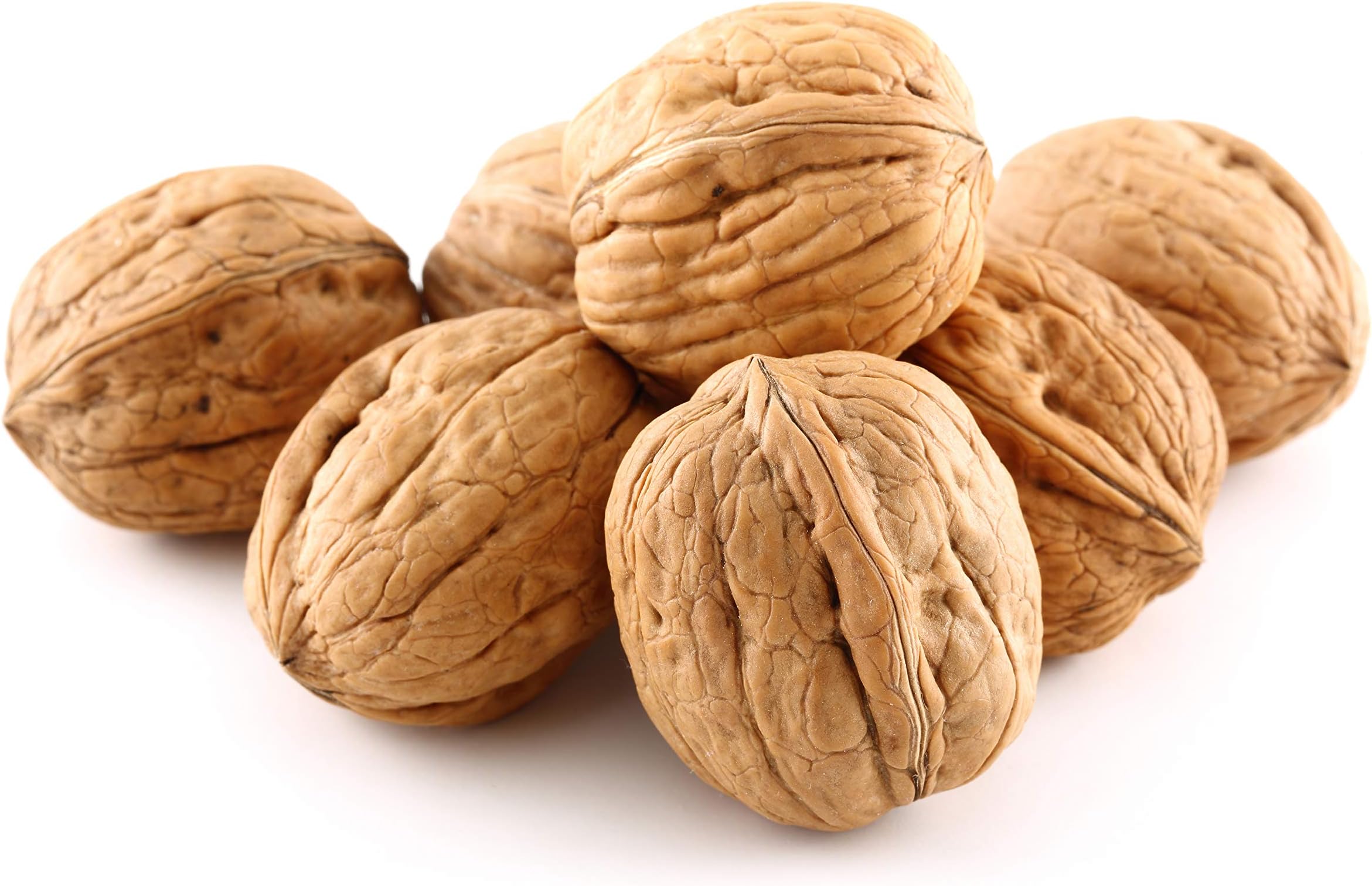 Anna and Sarah Walnuts in Shell, Jumbo, Fresh, Buttery Taste, Easy to Crack, California Chandler, Natural Shells, Not Bleached 5.5 Lbs