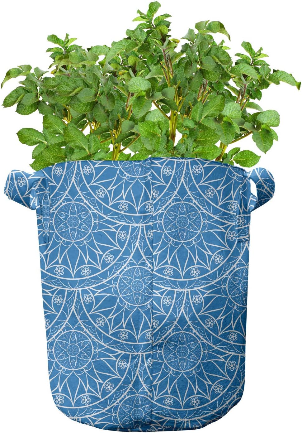 Ambesonne Blue Mandala Grow Bags 5-Pack, Monochrome Floral Art, Heavyduty Fabric Pots with Handles for Plants, Sea Blue White