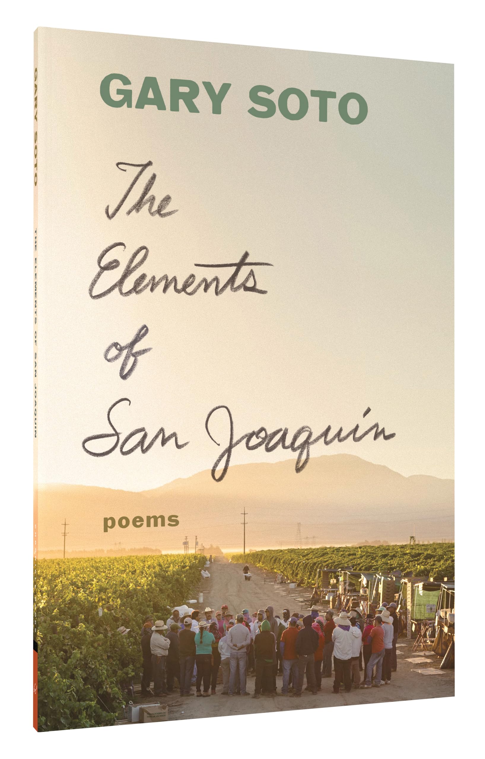 The Elements of San Joaquin: poems (Chicano Poetry, Poems from Prison, Poetry Book) - Image 2
