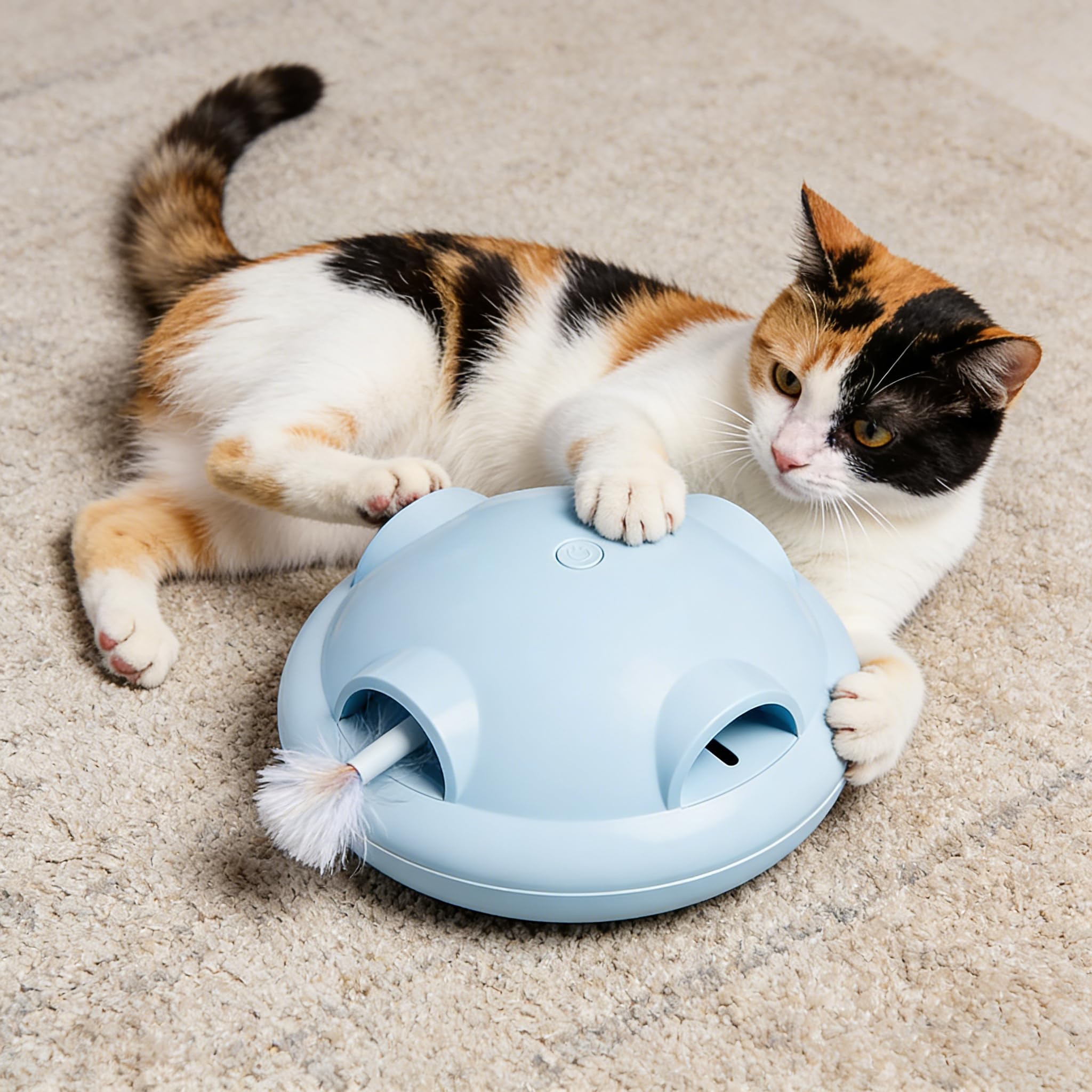 Katzenspielzeug Elektrisch, Interaktiv & Selbstbeschäftigung, EIN Knopf-Start, Zufällig Ausfahrende Feder, Glatte Ränder, Batteriebetrieb für Katzen Aller Altersstufen