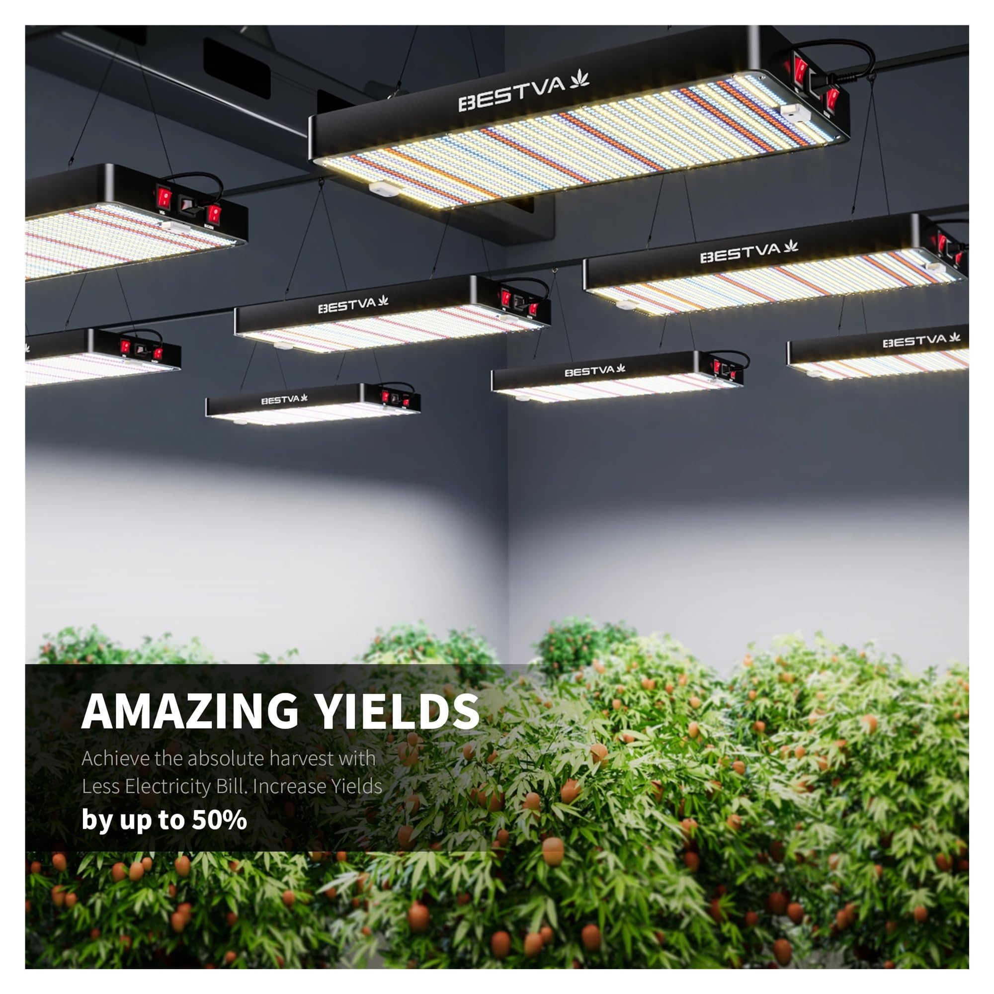 Luce per Piante, Luci for piante 4000W Led Coltiva la luce for da coltivazione indoor Veg Flower di idroponica Tenda interno Serra