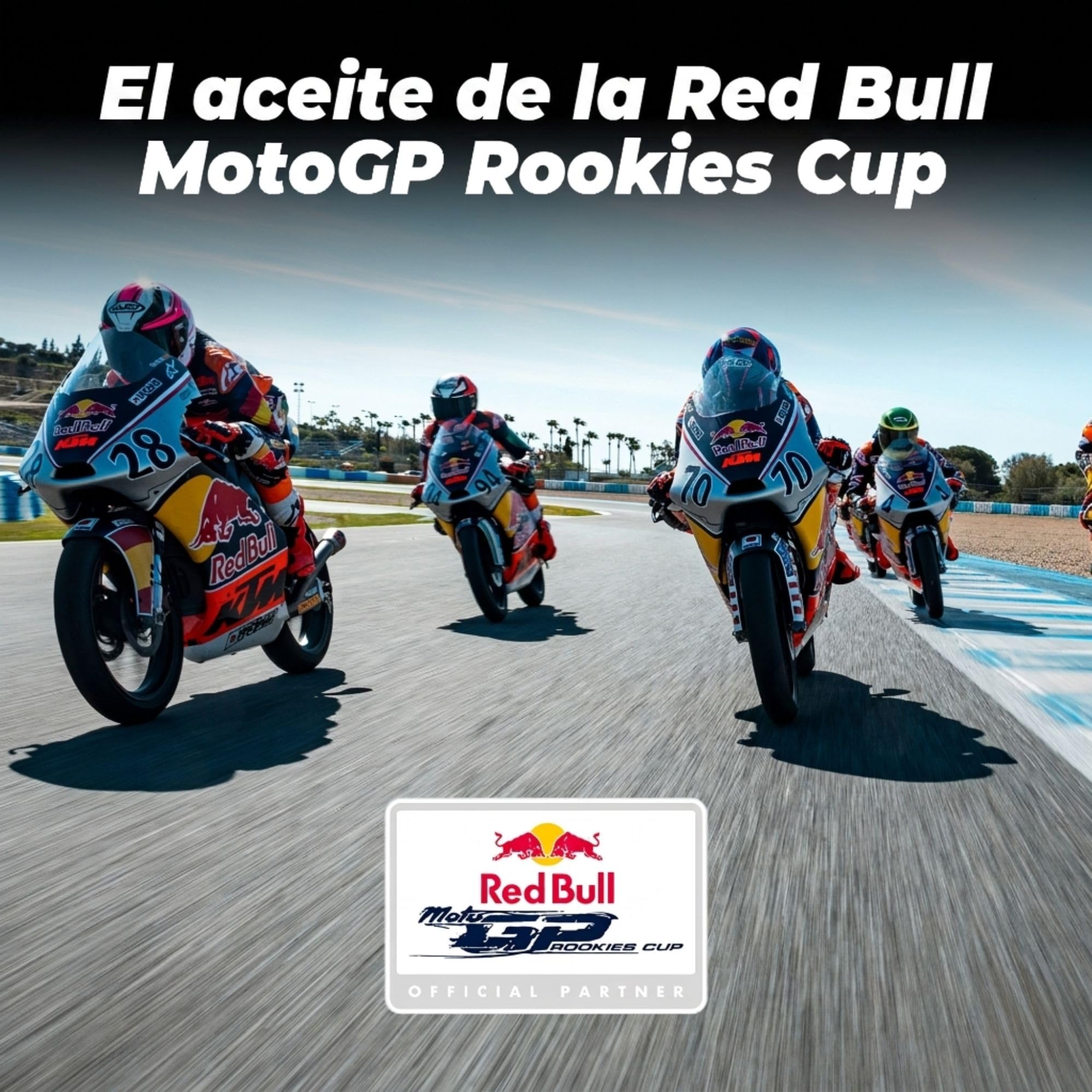 IPONE – Aceite de Motor para Moto 4 Tiempos 5W40 Shogun – Envase de 4 litros – 100% sintético – Gama Racing –Prestaciones excepcionales –Máxima protección del Motor –Probado y Aprobado en competición