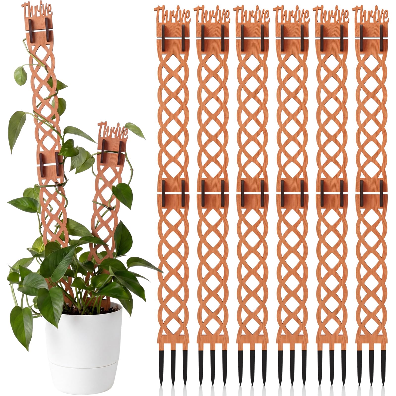 Otoolling 6 Sets Wooden Extendable Plants Trellis Indoor Modular Plant Trellis with Wood Thrive Sign Decor and Extensions for Outdoor Climbing Houseplants Vine Flower Stem(Diamond)