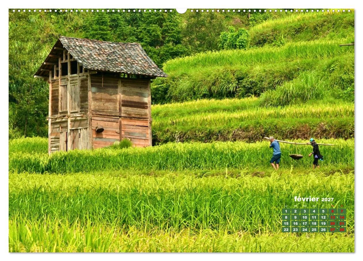 Riz de Chine (Calendrier mural 2027 DIN A2 vertical), CALVENDO calendrier mensuel: La Chine est le plus important producteur et consommateur de riz dans le monde