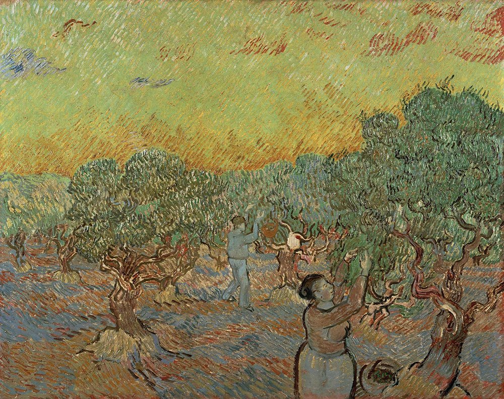 Olive Grove Van Gogh : Grand Tableau pour Salon Chaleureux