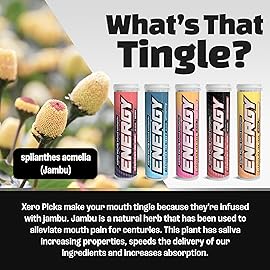 Xero Picks Energy Infused Flavored Toothpicks with Caffeine, B12 & B6-100 Picks (5 Pack Limited Edition Variety)