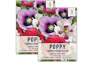 Poppy Seeds Unwashed