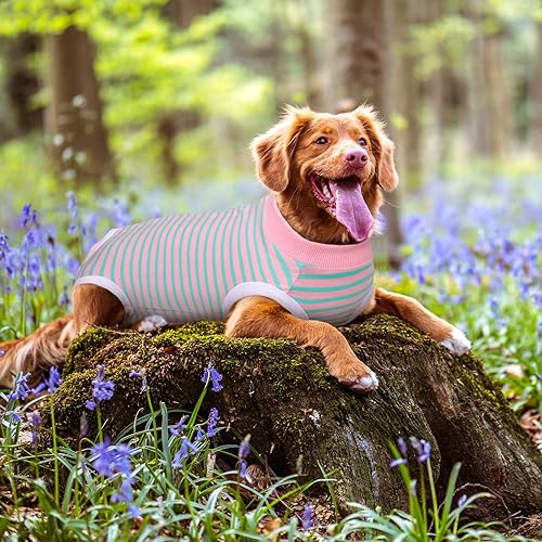 Miniatura 9 de Traje de recuperación para perro, pijama quirúrgica para cachorros, body para perros y gatos después de la esterilización, vendas para heridas