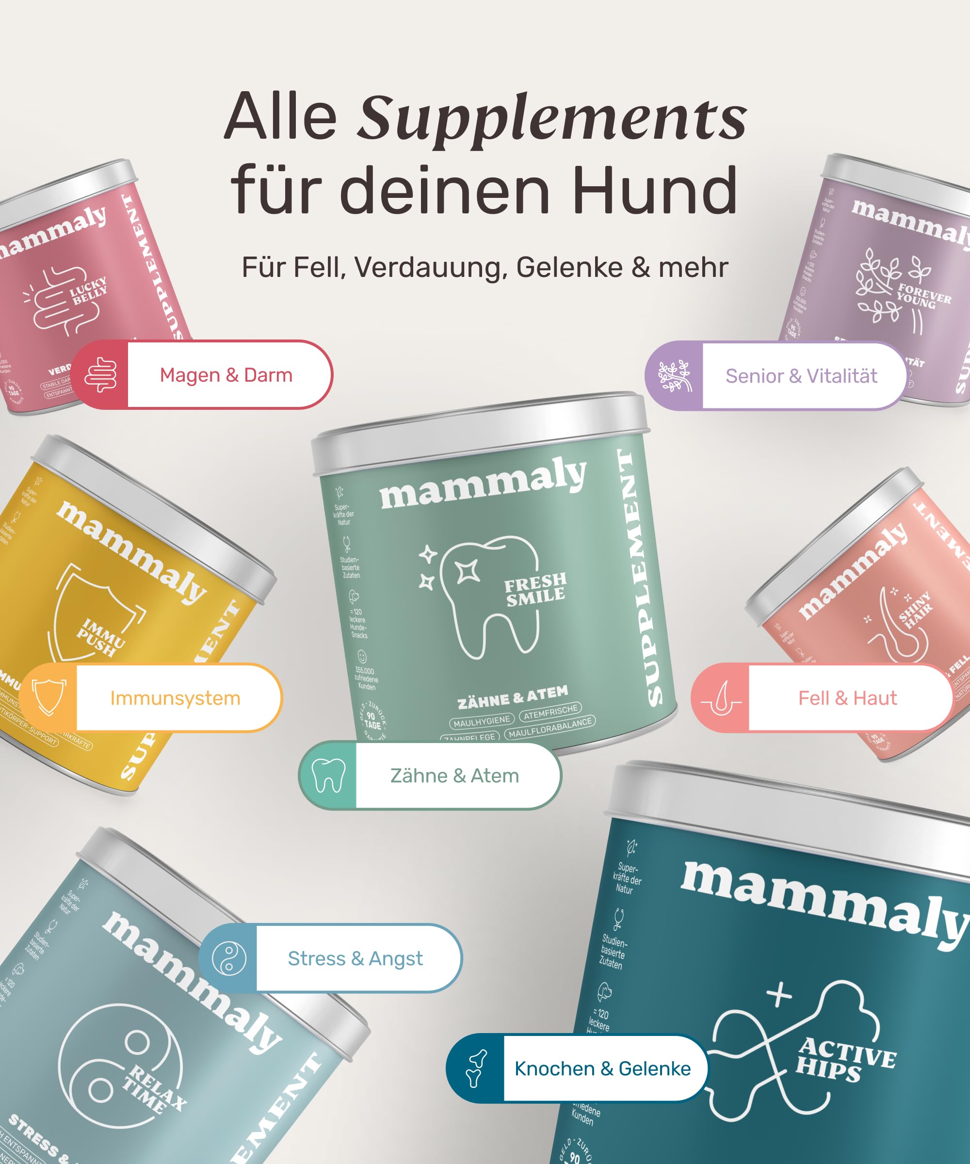 10-in-1 Zahnpflege Leckerli für Hunde - Fresh Smile 120 Snacks (350g) von mammaly - Gegen Mundgeruch, Zahnstein mit Pfefferminz, Seealge, Vitamin C, Petersilie u. v. m. für Maulhygiene, Mundpflege